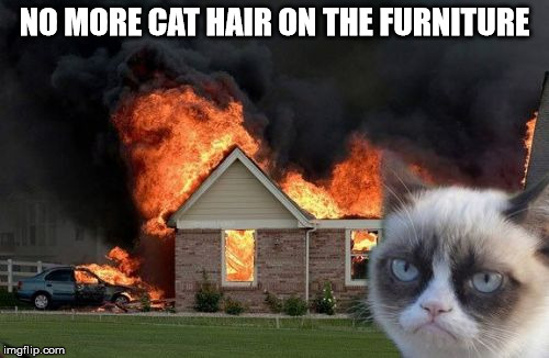 Burn Kitty Meme | NO MORE CAT HAIR ON THE FURNITURE | image tagged in memes,burn kitty,grumpy cat | made w/ Imgflip meme maker