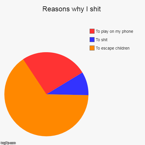 Reasons why I shit | image tagged in funny,pie charts | made w/ Imgflip chart maker