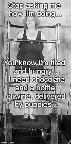 Stop asking me how I'm doing... You know I'm tired and hungry...  I need chocolate; and a bottle of wine, delivered by puppies... | image tagged in diet,tired,hungry,chocolate,wine bottle,puppies | made w/ Imgflip meme maker