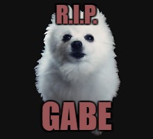 Gabe the dog | R.I.P. GABE | image tagged in gabe the dog | made w/ Imgflip meme maker