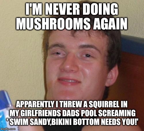 Tripping up the pool | I'M NEVER DOING MUSHROOMS AGAIN; APPARENTLY I THREW A SQUIRREL IN MY GIRLFRIENDS DADS POOL SCREAMING ' SWIM SANDY,BIKINI BOTTOM NEEDS YOU!' | image tagged in memes,10 guy,funny | made w/ Imgflip meme maker