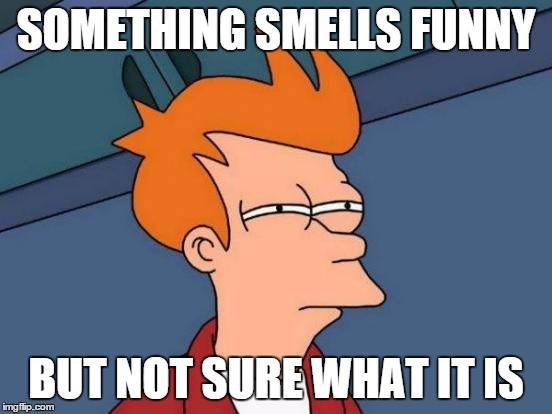 Futurama Fry Meme | SOMETHING SMELLS FUNNY BUT NOT SURE WHAT IT IS | image tagged in memes,futurama fry | made w/ Imgflip meme maker