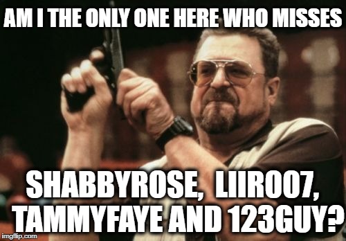 Am I The Only One Around Here | AM I THE ONLY ONE HERE WHO MISSES; SHABBYROSE,  LIIR007,  TAMMYFAYE AND 123GUY? | image tagged in memes,am i the only one around here | made w/ Imgflip meme maker