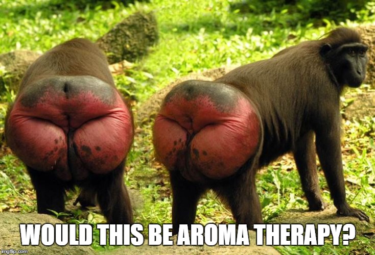 WOULD THIS BE AROMA THERAPY? | made w/ Imgflip meme maker