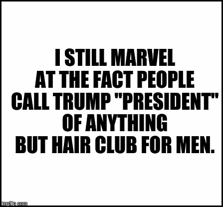 blank | I STILL MARVEL AT THE FACT PEOPLE CALL TRUMP "PRESIDENT" OF ANYTHING BUT HAIR CLUB FOR MEN. | image tagged in blank | made w/ Imgflip meme maker