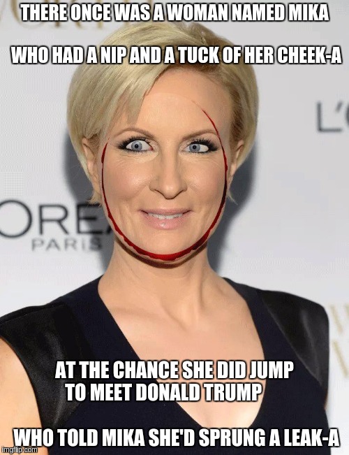 Mika the Leak-A | THERE ONCE WAS A WOMAN NAMED MIKA  
                            WHO HAD A NIP AND A TUCK OF HER CHEEK-A; AT THE CHANCE SHE DID JUMP TO MEET DONALD TRUMP                                      WHO TOLD MIKA SHE'D SPRUNG A LEAK-A | image tagged in mika the leaka,memes | made w/ Imgflip meme maker