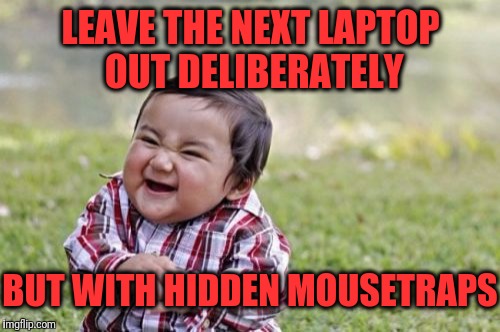 Evil Toddler Meme | LEAVE THE NEXT LAPTOP OUT DELIBERATELY BUT WITH HIDDEN MOUSETRAPS | image tagged in memes,evil toddler | made w/ Imgflip meme maker