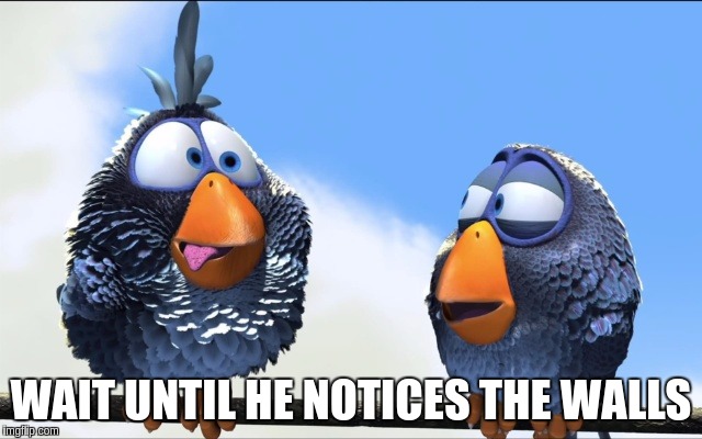 Blue Birds | WAIT UNTIL HE NOTICES THE WALLS | image tagged in blue birds | made w/ Imgflip meme maker