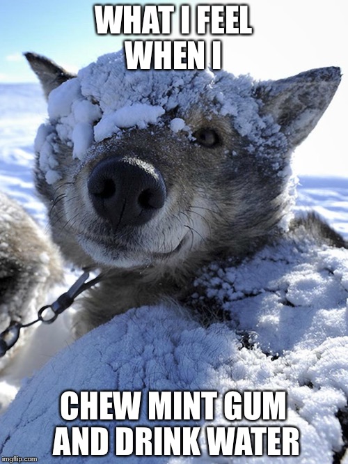 It's this bad | WHAT I FEEL WHEN I; CHEW MINT GUM AND DRINK WATER | image tagged in memes,cold,gum | made w/ Imgflip meme maker
