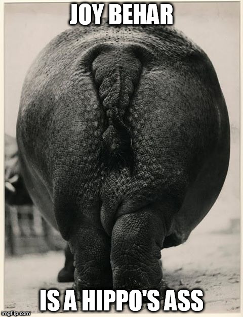 JOY BEHAR; IS A HIPPO'S ASS | image tagged in joy behars ass | made w/ Imgflip meme maker