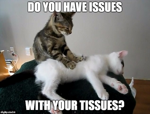 cat massage | DO YOU HAVE ISSUES; WITH YOUR TISSUES? | image tagged in cat massage | made w/ Imgflip meme maker