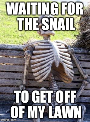 Waiting Skeleton Meme | WAITING FOR THE SNAIL TO GET OFF OF MY LAWN | image tagged in memes,waiting skeleton | made w/ Imgflip meme maker