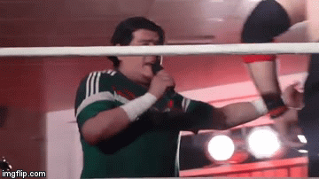 DWA Ricardo Rodriguez | image tagged in gifs,ricardo rodriguez,rrwwe | made w/ Imgflip video-to-gif maker