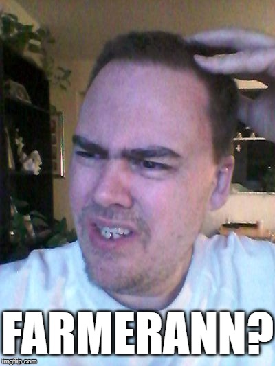 indecisive | FARMERANN? | image tagged in indecisive | made w/ Imgflip meme maker