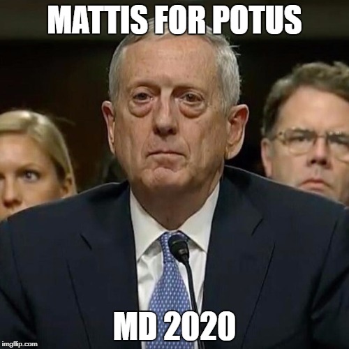 Mattis on Liberals | MATTIS FOR POTUS; MD 2020 | image tagged in mattis on liberals | made w/ Imgflip meme maker