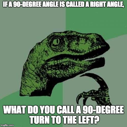 Philosoraptor Right Angle | IF A 90-DEGREE ANGLE IS CALLED A RIGHT ANGLE, WHAT DO YOU CALL A 90-DEGREE TURN TO THE LEFT? | image tagged in memes,philosoraptor,funny | made w/ Imgflip meme maker