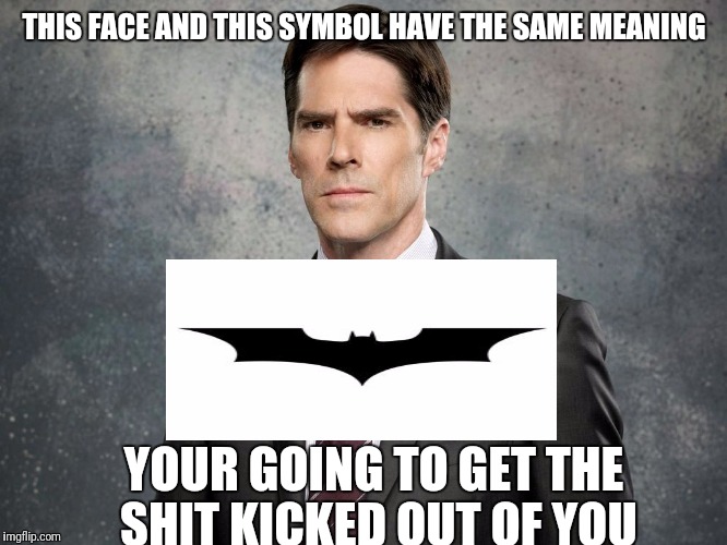 THIS FACE AND THIS SYMBOL HAVE THE SAME MEANING; YOUR GOING TO GET THE SHIT KICKED OUT OF YOU | image tagged in hotchner,batman,funny cats,memes,criminal minds | made w/ Imgflip meme maker