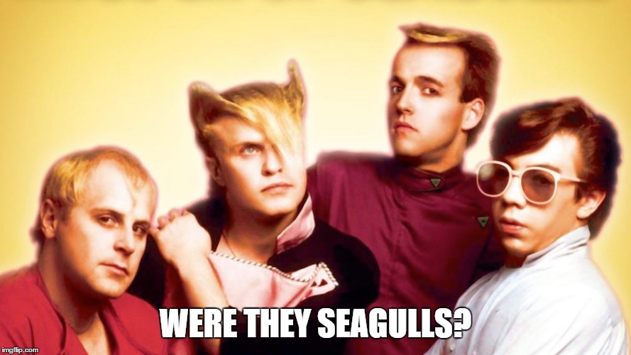 WERE THEY SEAGULLS? | made w/ Imgflip meme maker