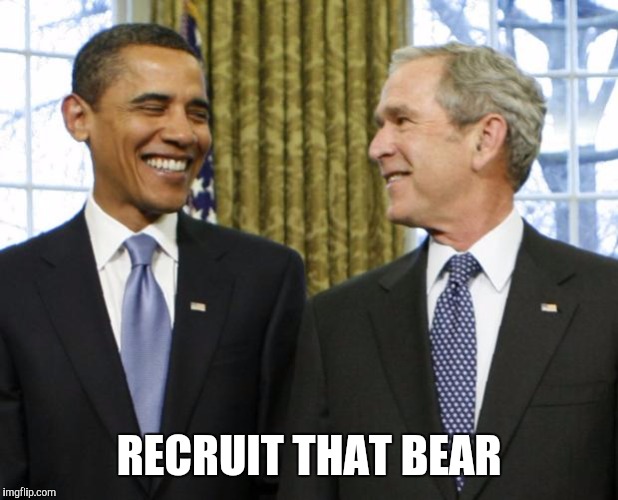 Memes | RECRUIT THAT BEAR | image tagged in memes | made w/ Imgflip meme maker