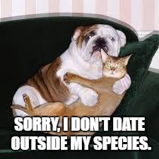 Interspecies Pride | SORRY, I DON'T DATE OUTSIDE MY SPECIES. | image tagged in interspecies pride | made w/ Imgflip meme maker