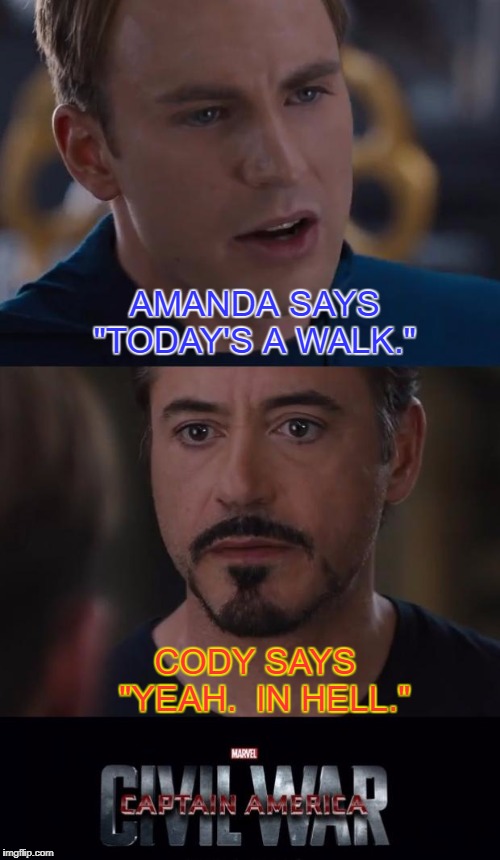Marvel Civil War | AMANDA SAYS 
"TODAY'S A WALK."; CODY SAYS    "YEAH.  IN HELL." | image tagged in memes,marvel civil war | made w/ Imgflip meme maker