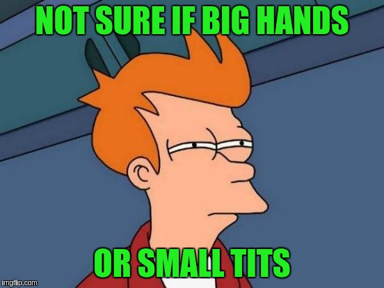 Futurama Fry Meme | NOT SURE IF BIG HANDS OR SMALL TITS | image tagged in memes,futurama fry | made w/ Imgflip meme maker
