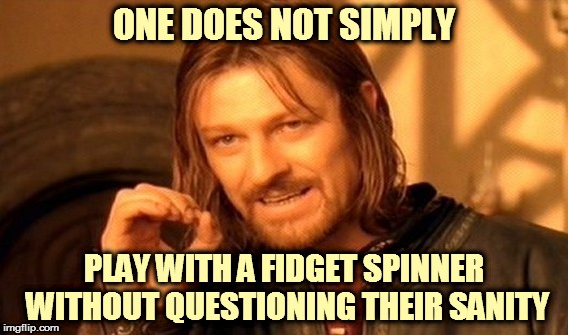 One Does Not Simply Meme | ONE DOES NOT SIMPLY; PLAY WITH A FIDGET SPINNER WITHOUT QUESTIONING THEIR SANITY | image tagged in memes,one does not simply | made w/ Imgflip meme maker