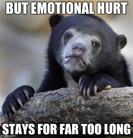 Confession Bear Meme | BUT EMOTIONAL HURT STAYS FOR FAR TOO LONG | image tagged in memes,confession bear | made w/ Imgflip meme maker