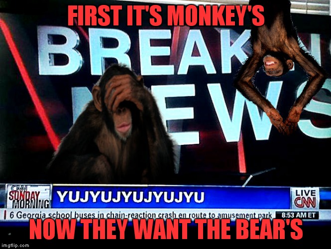 FIRST IT'S MONKEY'S NOW THEY WANT THE BEAR'S | made w/ Imgflip meme maker