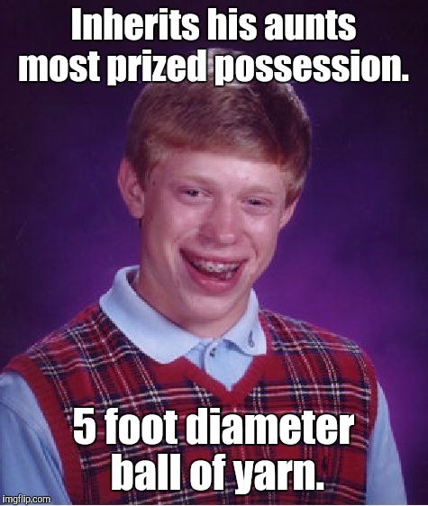 Bad Luck Brian Meme | Inherits his aunts most prized possession. 5 foot diameter ball of yarn. | image tagged in memes,bad luck brian | made w/ Imgflip meme maker