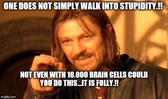 One Does Not Simply | ONE DOES NOT SIMPLY WALK INTO STUPIDITY.!! NOT EVEN WITH 10.000 BRAIN CELLS COULD YOU DO THIS...IT IS FOLLY.!! | image tagged in memes,one does not simply | made w/ Imgflip meme maker