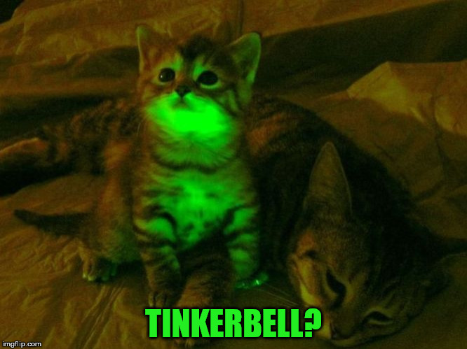 TINKERBELL? | made w/ Imgflip meme maker