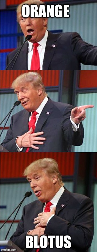Bad Pun Trump | ORANGE; BLOTUS | image tagged in bad pun trump | made w/ Imgflip meme maker