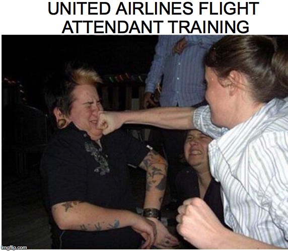 Friendly Skies | UNITED AIRLINES FLIGHT ATTENDANT TRAINING | image tagged in united airlines,flight attendant | made w/ Imgflip meme maker