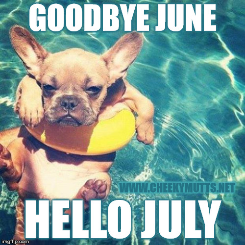 Hello July | GOODBYE JUNE; WWW.CHEEKYMUTTS.NET; HELLO JULY | image tagged in summer is here dog pug,4th of july,summer | made w/ Imgflip meme maker