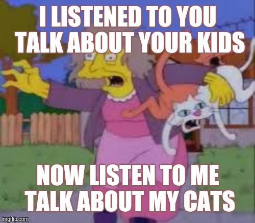 I LISTENED TO YOU TALK ABOUT YOUR KIDS NOW LISTEN TO ME TALK ABOUT MY CATS | made w/ Imgflip meme maker