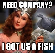 NEED COMPANY? I GOT US A FISH | made w/ Imgflip meme maker