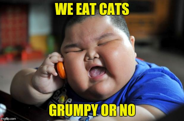 WE EAT CATS GRUMPY OR NO | made w/ Imgflip meme maker