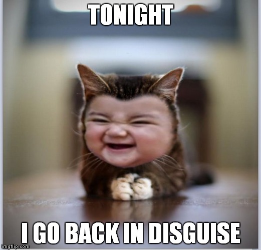evil toddler kitten | TONIGHT I GO BACK IN DISGUISE | image tagged in evil toddler kitten | made w/ Imgflip meme maker