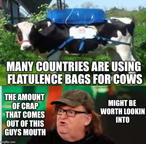 MANY COUNTRIES ARE USING FLATULENCE BAGS FOR COWS; THE AMOUNT OF CRAP THAT COMES OUT OF THIS GUYS MOUTH; MIGHT BE WORTH LOOKIN INTO | image tagged in memes | made w/ Imgflip meme maker