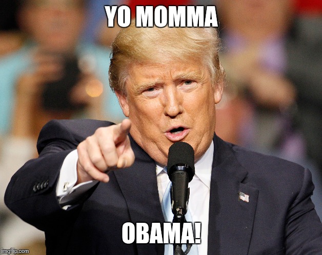 Donald The man | YO MOMMA; OBAMA! | image tagged in president | made w/ Imgflip meme maker