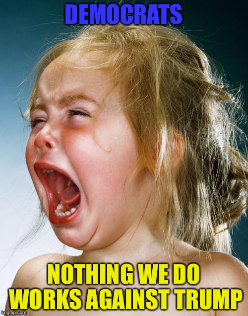 Cry Baby | DEMOCRATS; NOTHING WE DO WORKS AGAINST TRUMP | image tagged in cry baby | made w/ Imgflip meme maker