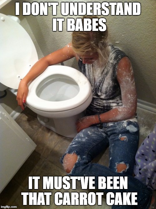 Drunk Girl With Toilet | I DON'T UNDERSTAND IT BABES; IT MUST'VE BEEN THAT CARROT CAKE | image tagged in drunk,girl,sick,funny | made w/ Imgflip meme maker