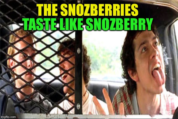 THE SNOZBERRIES TASTE LIKE SNOZBERRY | made w/ Imgflip meme maker