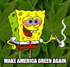 MAKE AMERICA GREEN AGAIN | made w/ Imgflip meme maker