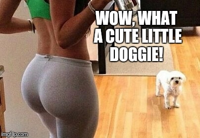 Doggie, what doggie?... | WOW, WHAT A CUTE LITTLE DOGGIE! | image tagged in yoga pants,yoga pants week,booty,jbmemegeek | made w/ Imgflip meme maker