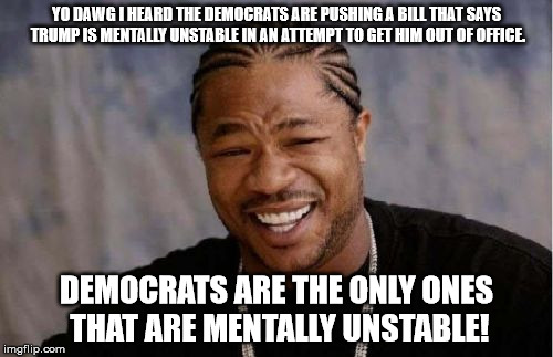 Yo Dawg Heard You Meme | YO DAWG I HEARD THE DEMOCRATS ARE PUSHING A BILL THAT SAYS TRUMP IS MENTALLY UNSTABLE IN AN ATTEMPT TO GET HIM OUT OF OFFICE. DEMOCRATS ARE THE ONLY ONES THAT ARE MENTALLY UNSTABLE! | image tagged in memes,yo dawg heard you | made w/ Imgflip meme maker
