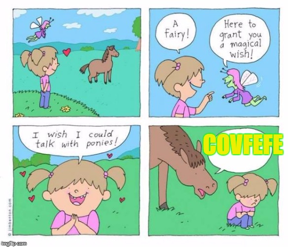 Pony wish | COVFEFE | image tagged in pony wish | made w/ Imgflip meme maker