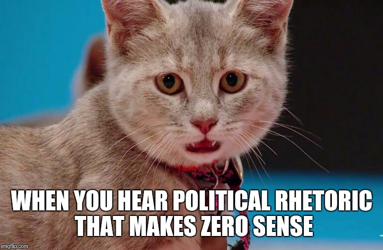 Whaaaaaa... | WHEN YOU HEAR POLITICAL RHETORIC THAT MAKES ZERO SENSE | image tagged in memes,cats,politics,political,cute | made w/ Imgflip meme maker