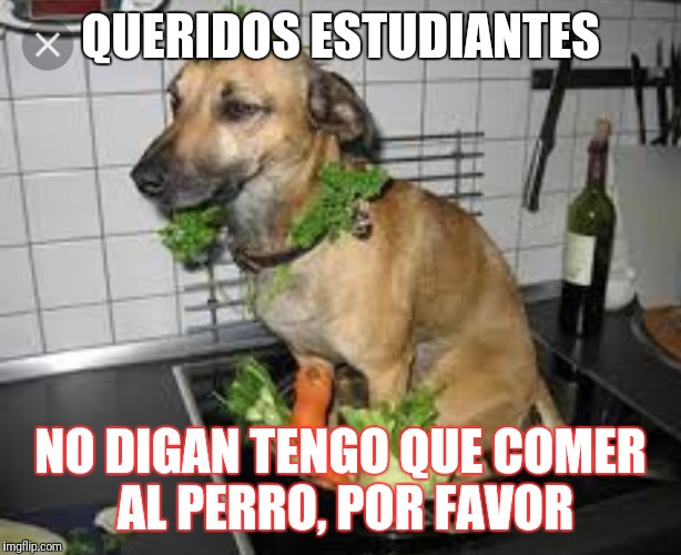 QUERIDOS ESTUDIANTES; NO DIGAN TENGO QUE COMER AL PERRO, POR FAVOR | made w/ Imgflip meme maker